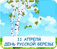 День березы День березы.